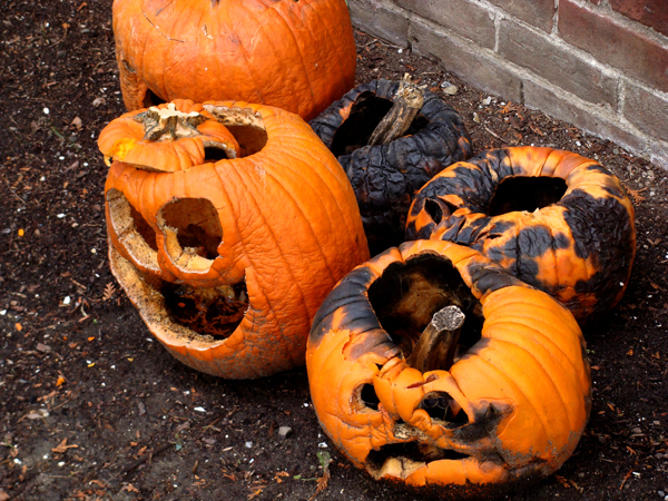 Miss FD - Halloween's over.